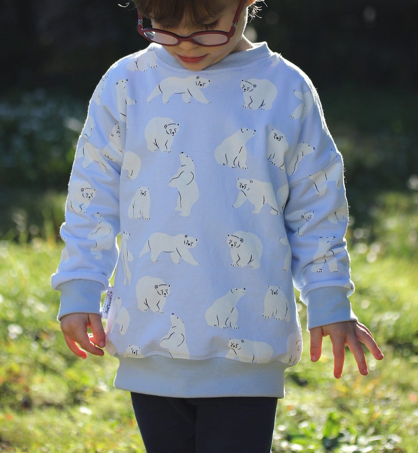 Sweat Ours Polaires